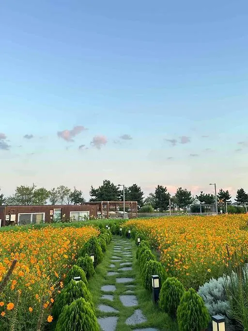 Grape Residence Hotel Incheon